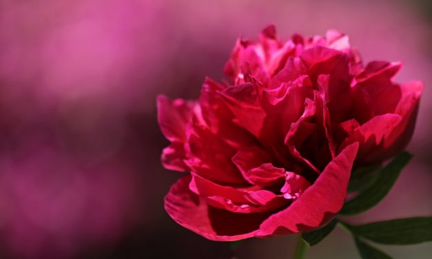 Pfingstmontag 2019